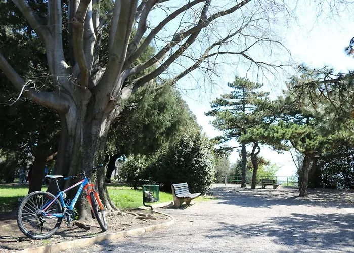 Volcano Appartement *