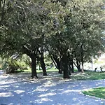 Volcano דירה רייקה