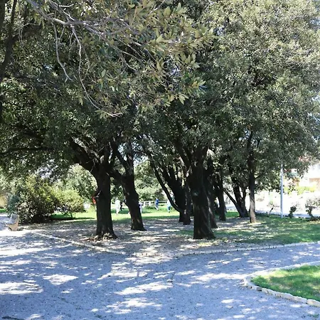 Volcano Apartman Fiume